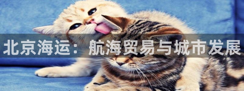 欢迎来到大海