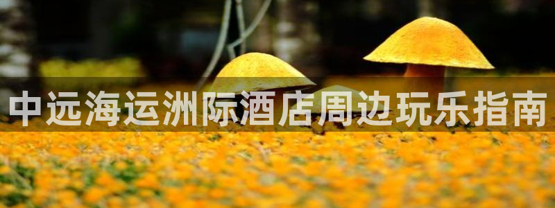 欢迎来到公海.欢迎来到赌船