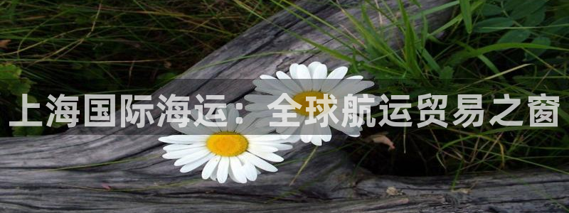 公海赌博为什么没人管