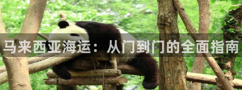 公海赌船网址710