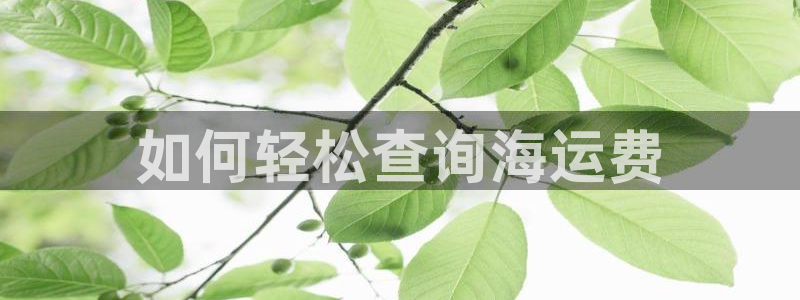 欢迎来到公海欢迎来到