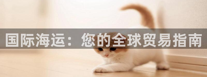 公海欢迎来到