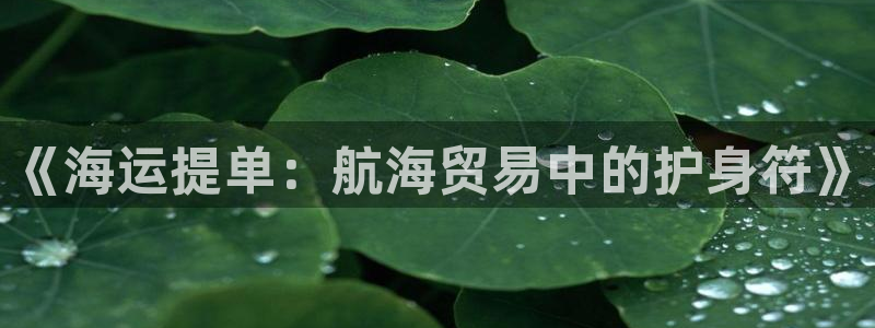 欢迎来到赌船公海710