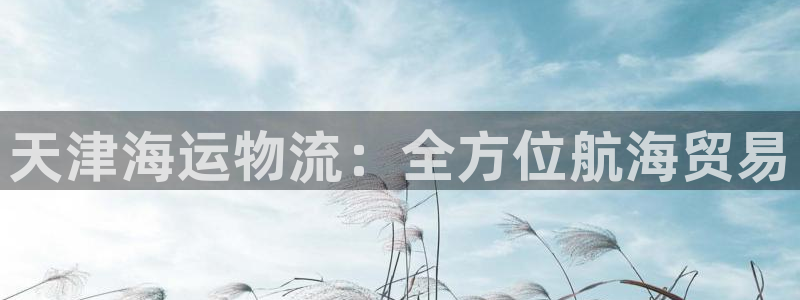 公海赌赌船手机下载