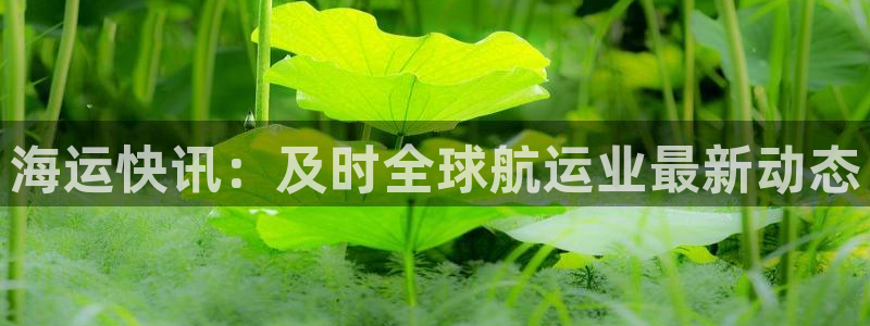 欢迎来到公海欢迎来到赌船710