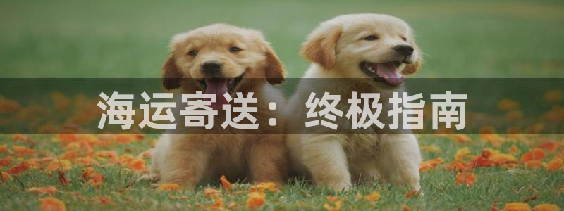 公海赌赌船官网真的