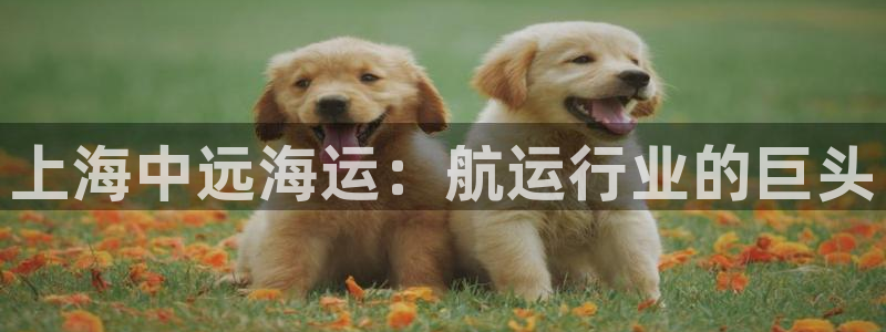 公海赌赌船官网介绍人