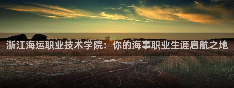 欢迎你来到公主的海岛