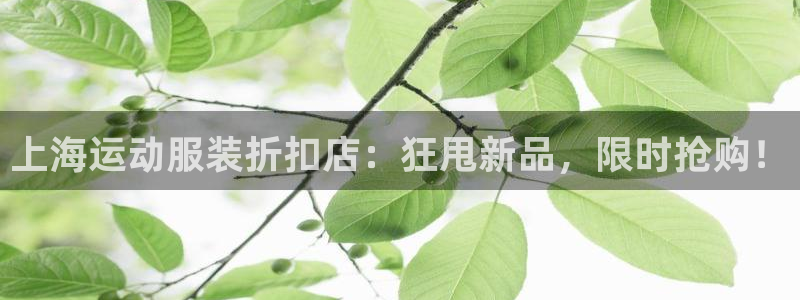 公海赌赌船官网jc710公海